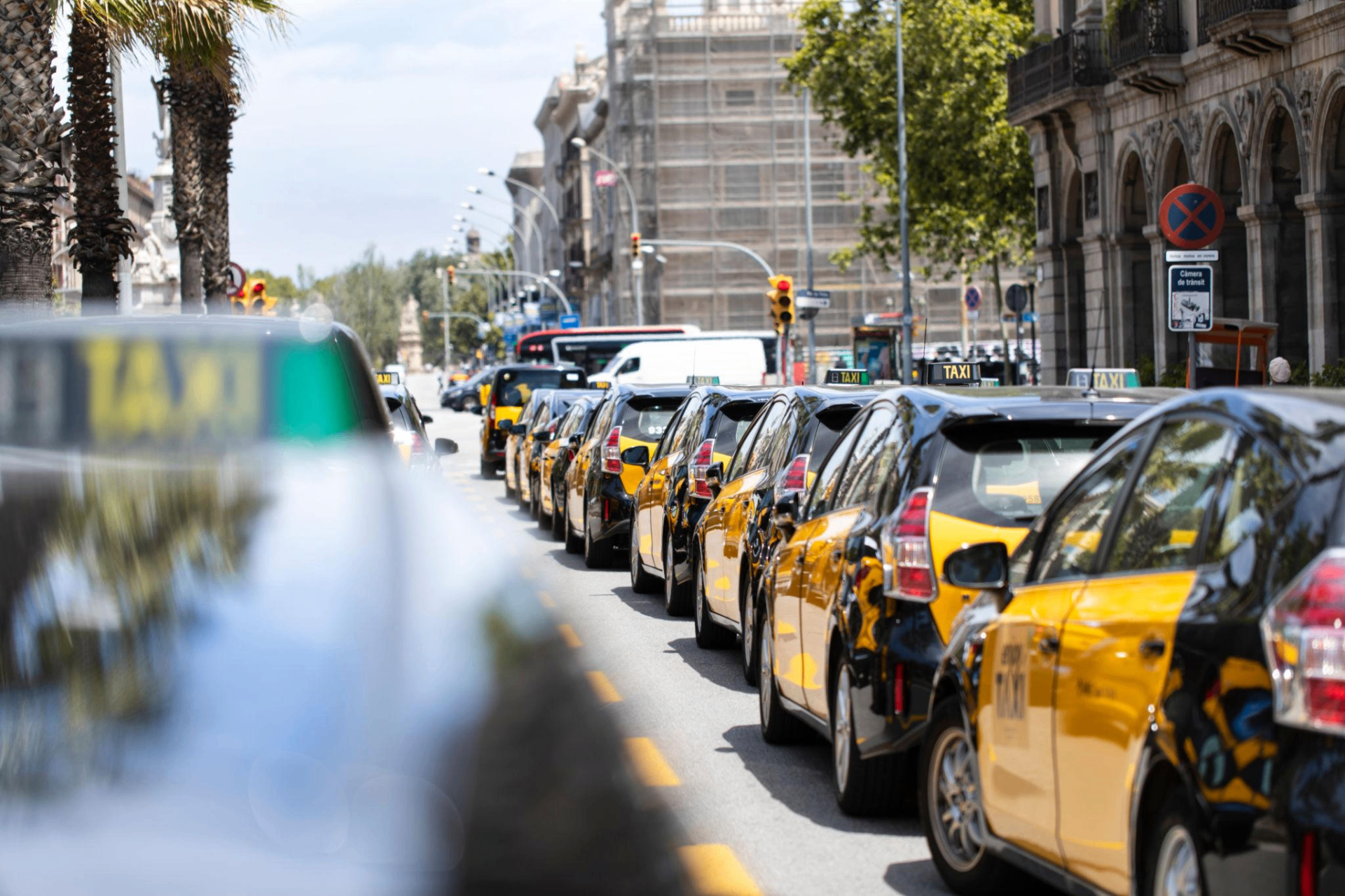 Row of yellow and black Barcelona taxis at official rank